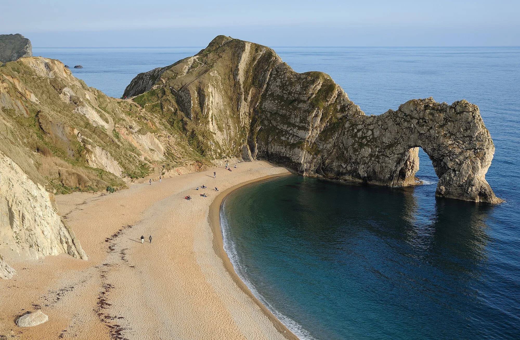 Vets in Dorset