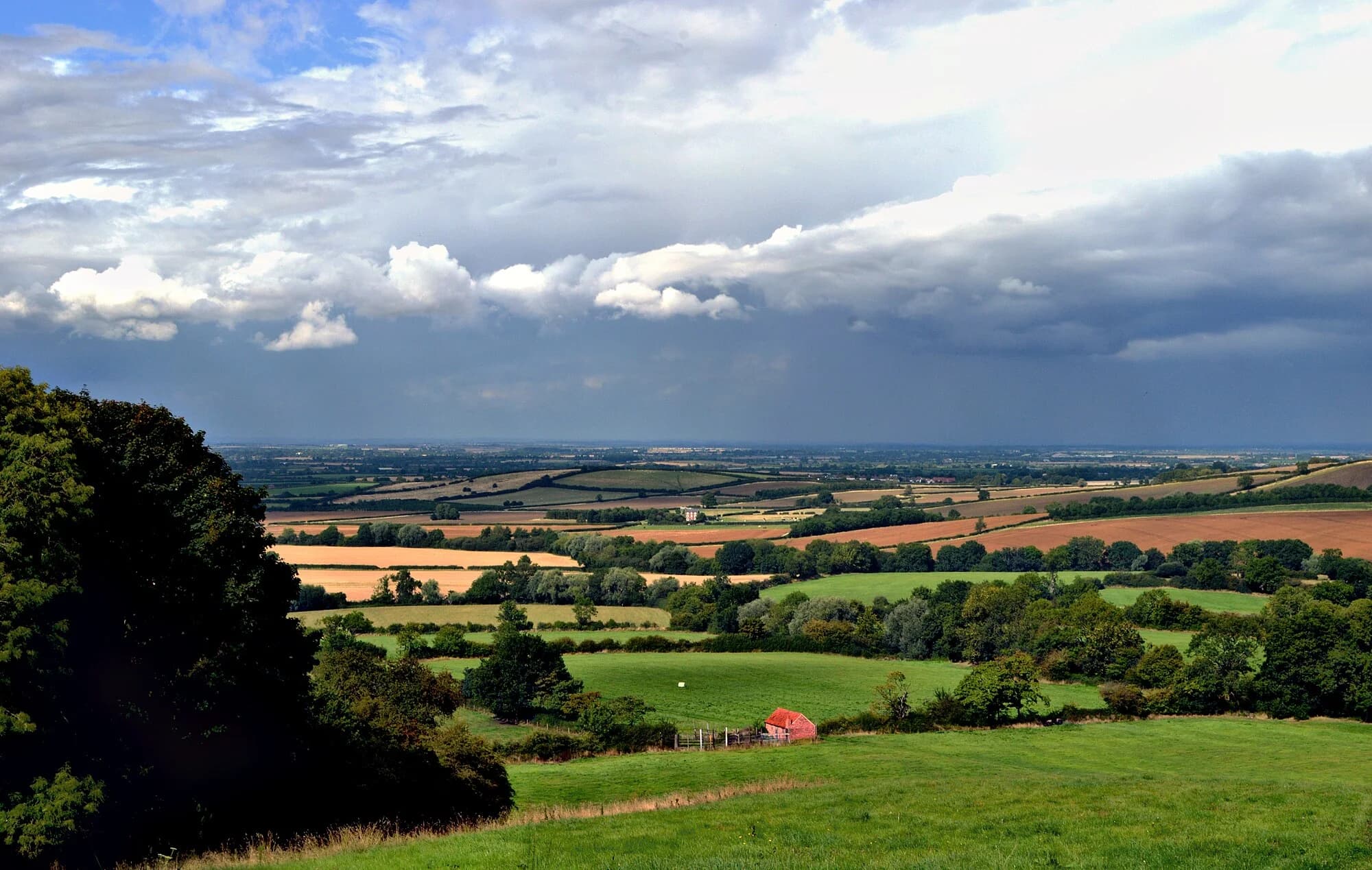 Vets in Leicestershire
