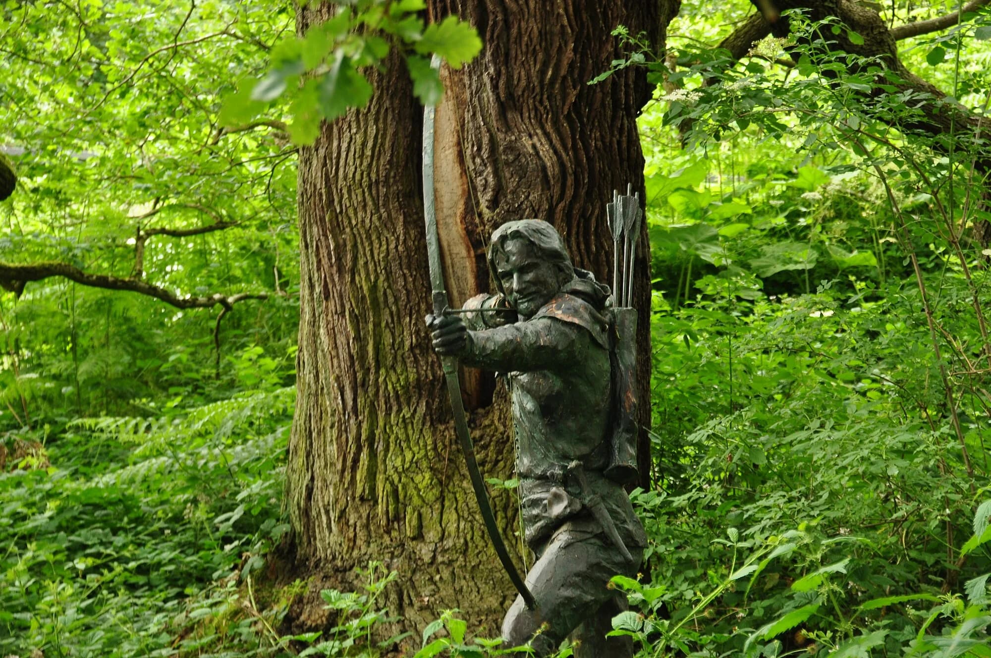 Vets in Nottinghamshire