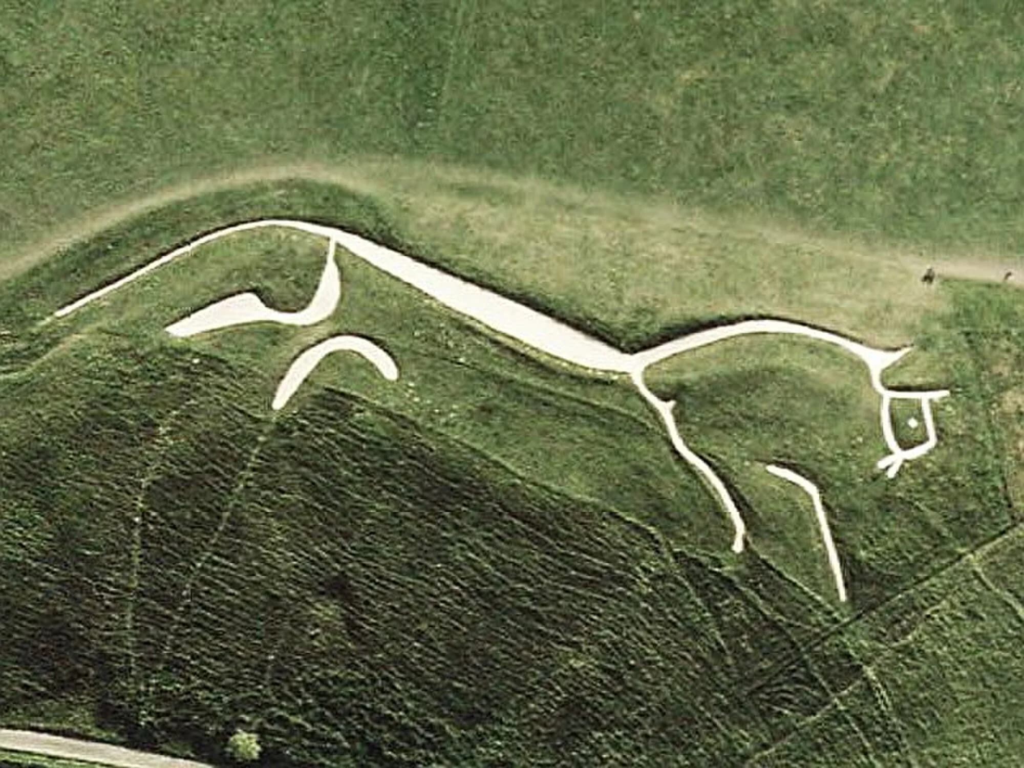 Vets in Oxfordshire