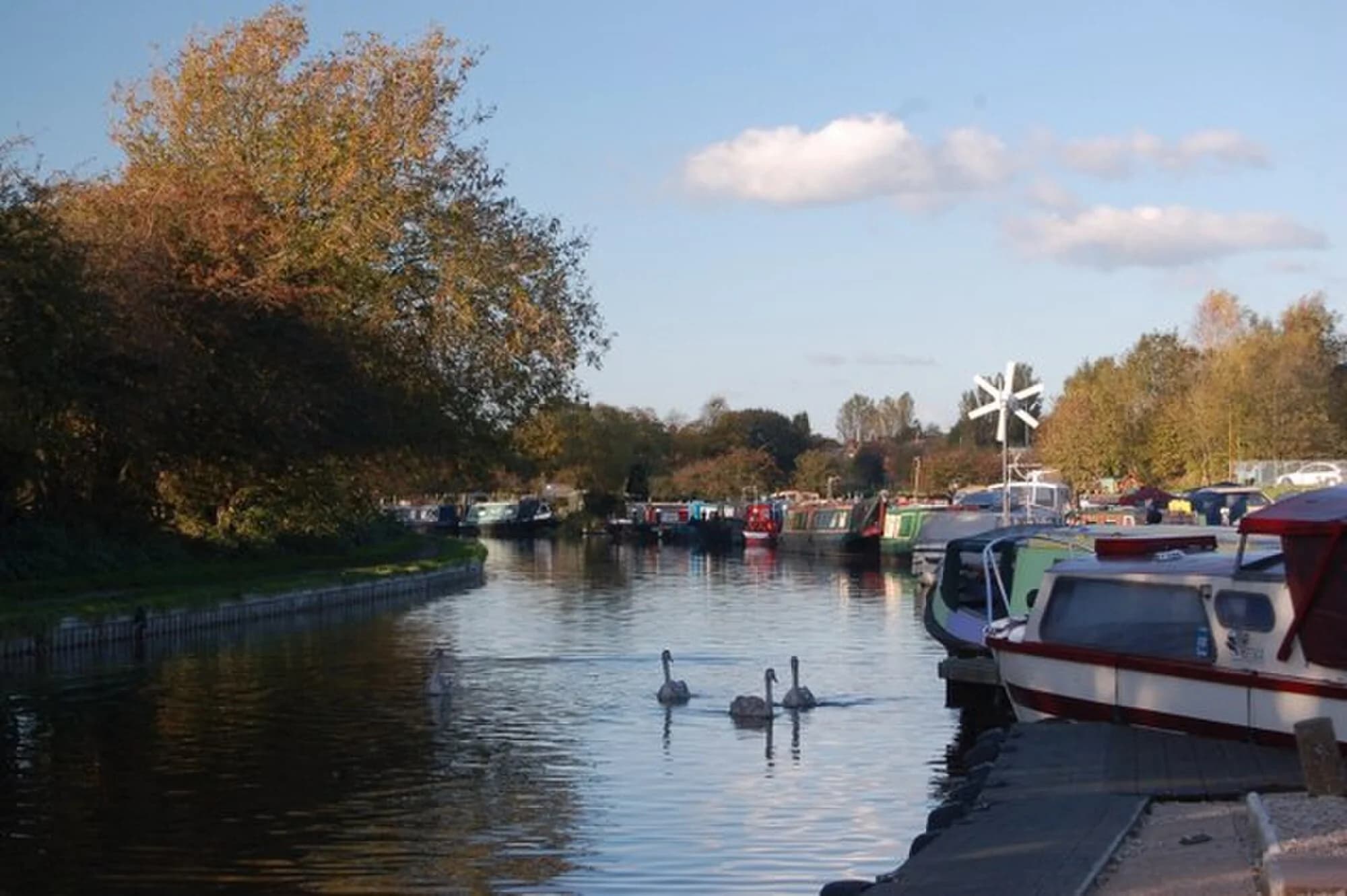 Vets in Adlington