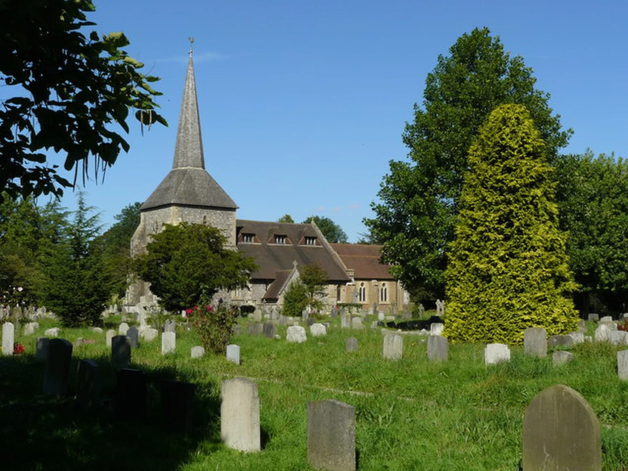 Vets in Banstead