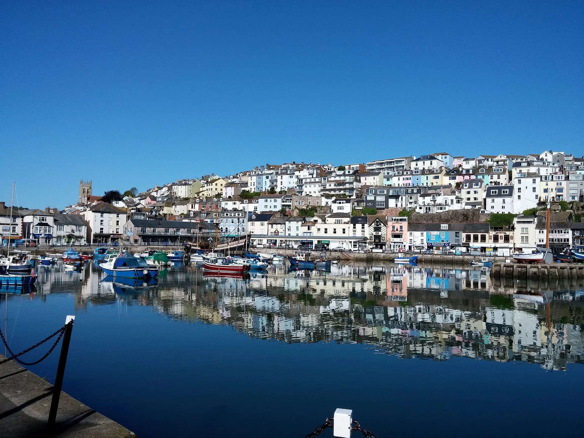 Vets in Brixham