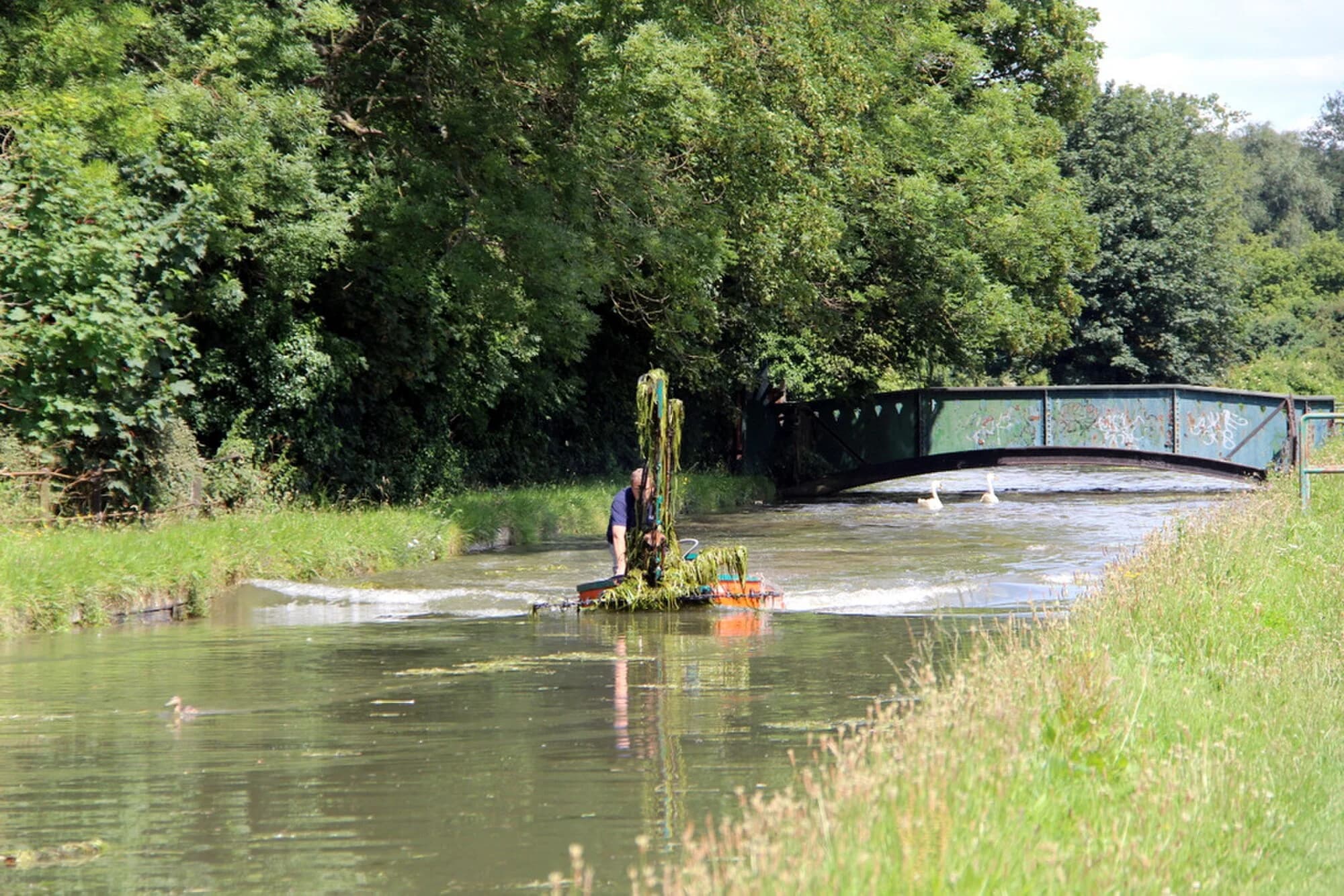 Vets in Broxbourne