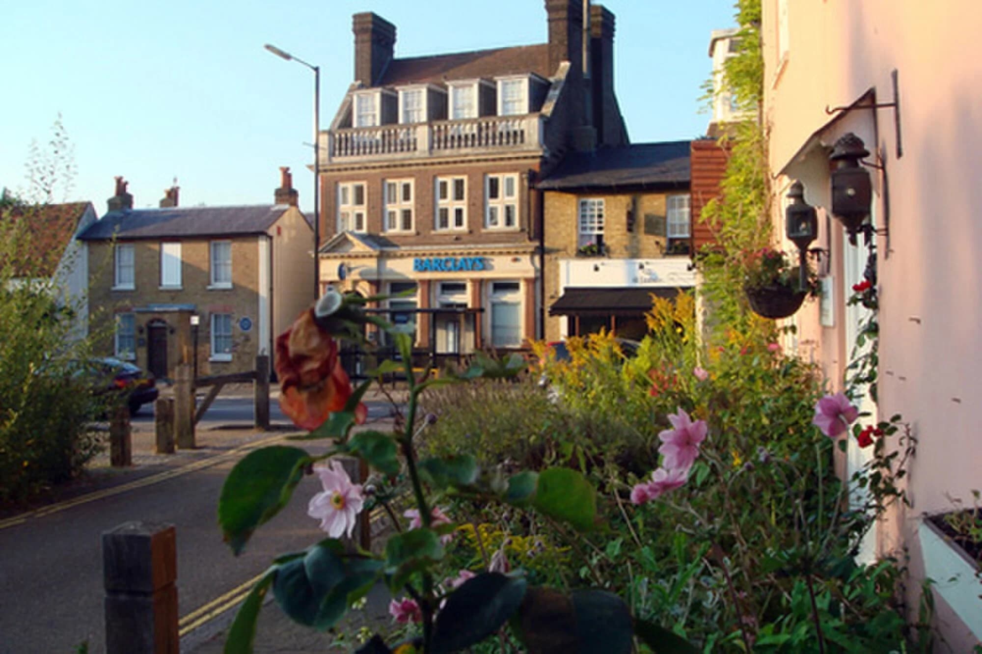 Vets in Bushey Heath