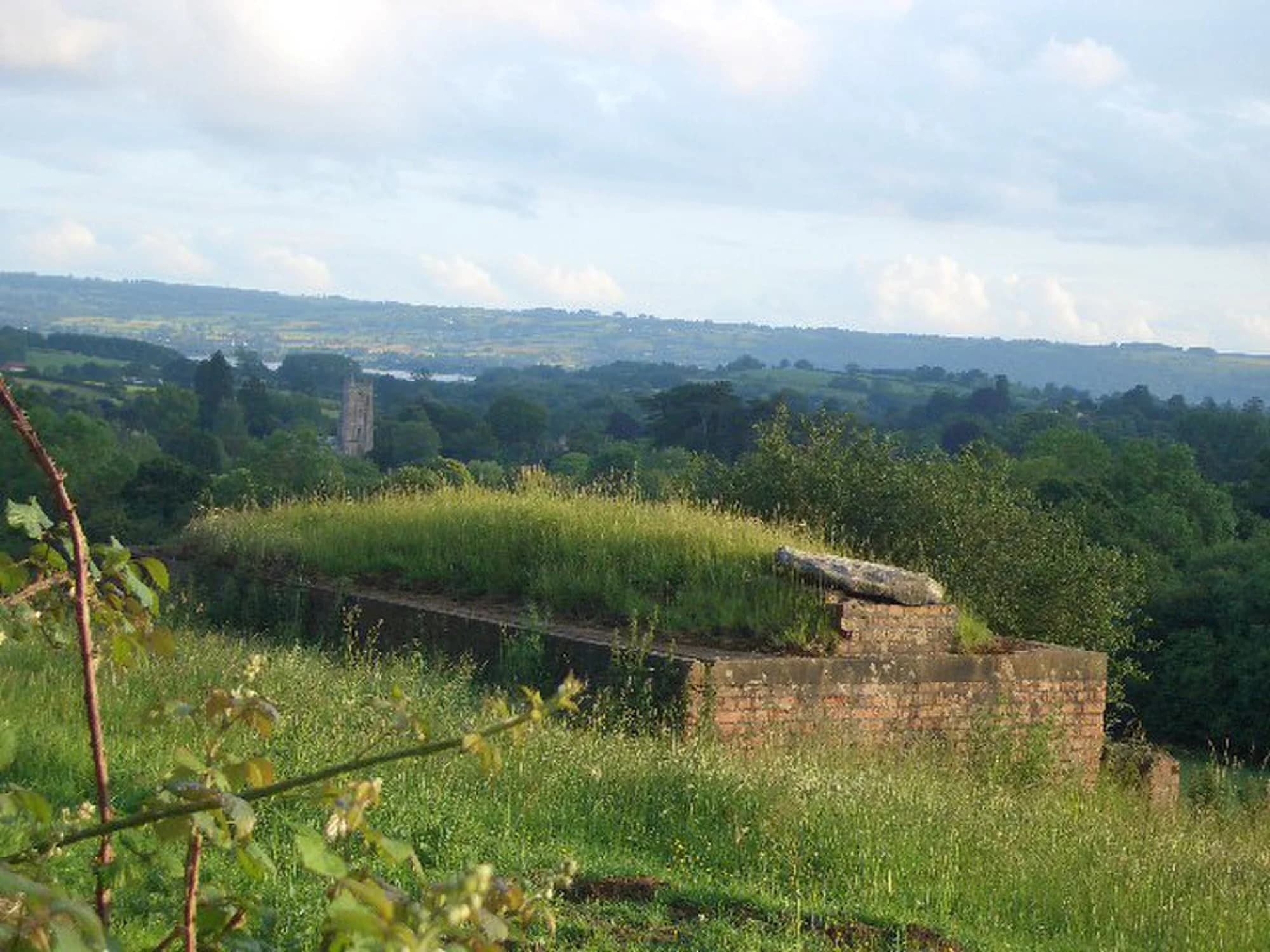 Vets in Chew Magna
