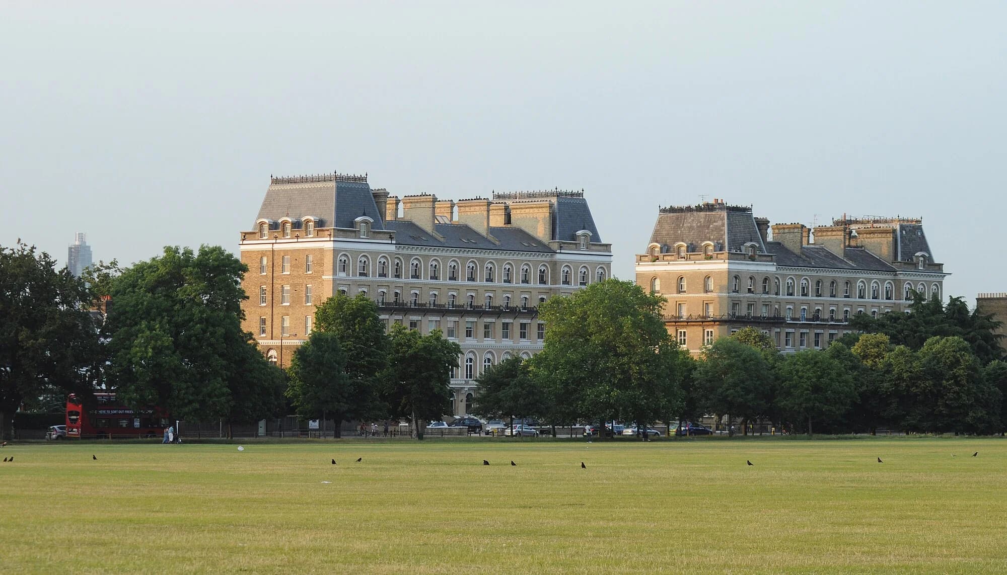 Vets in Clapham