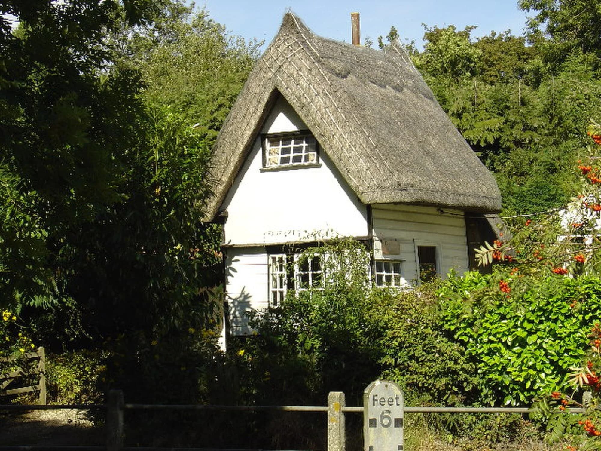 Vets in Clavering