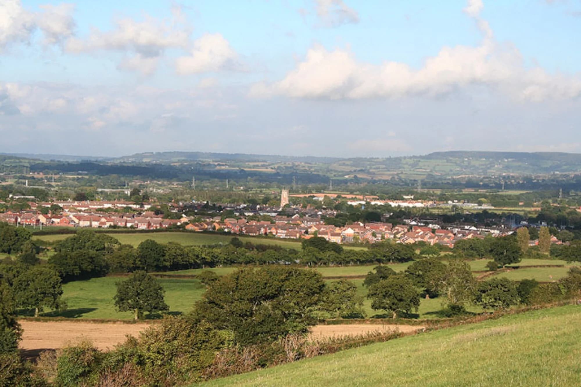 Vets in Cullompton