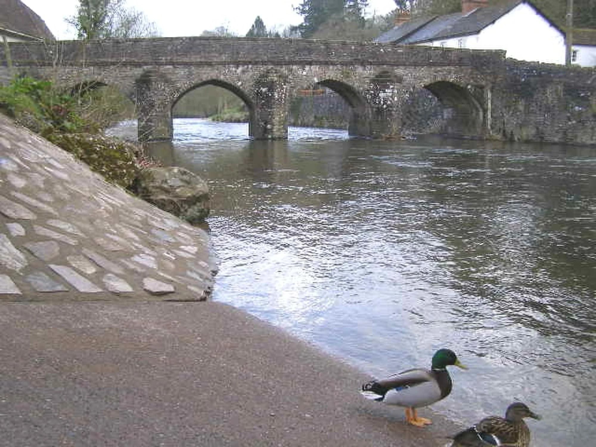 Vets in Dulverton