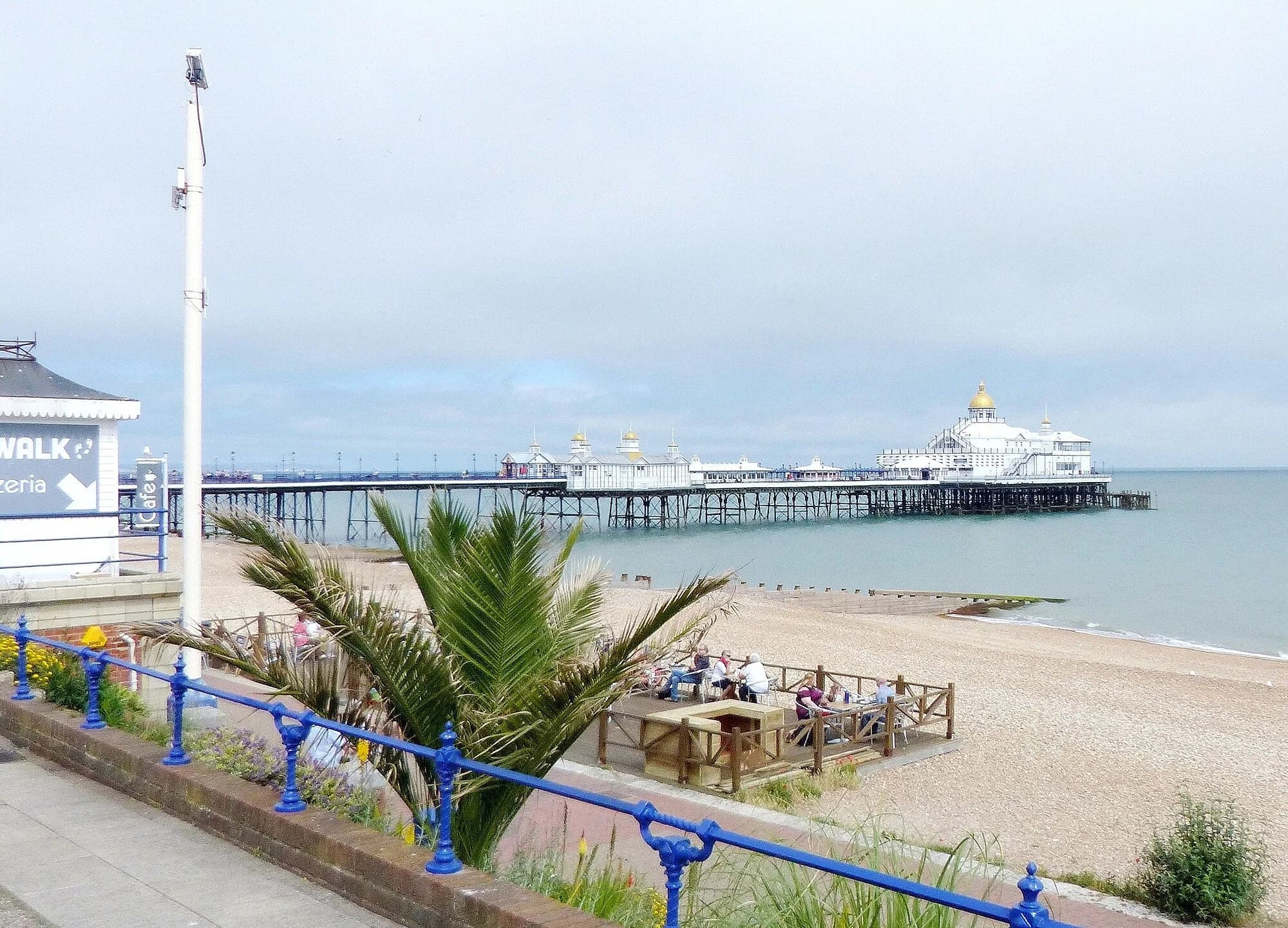 Vets in Eastbourne