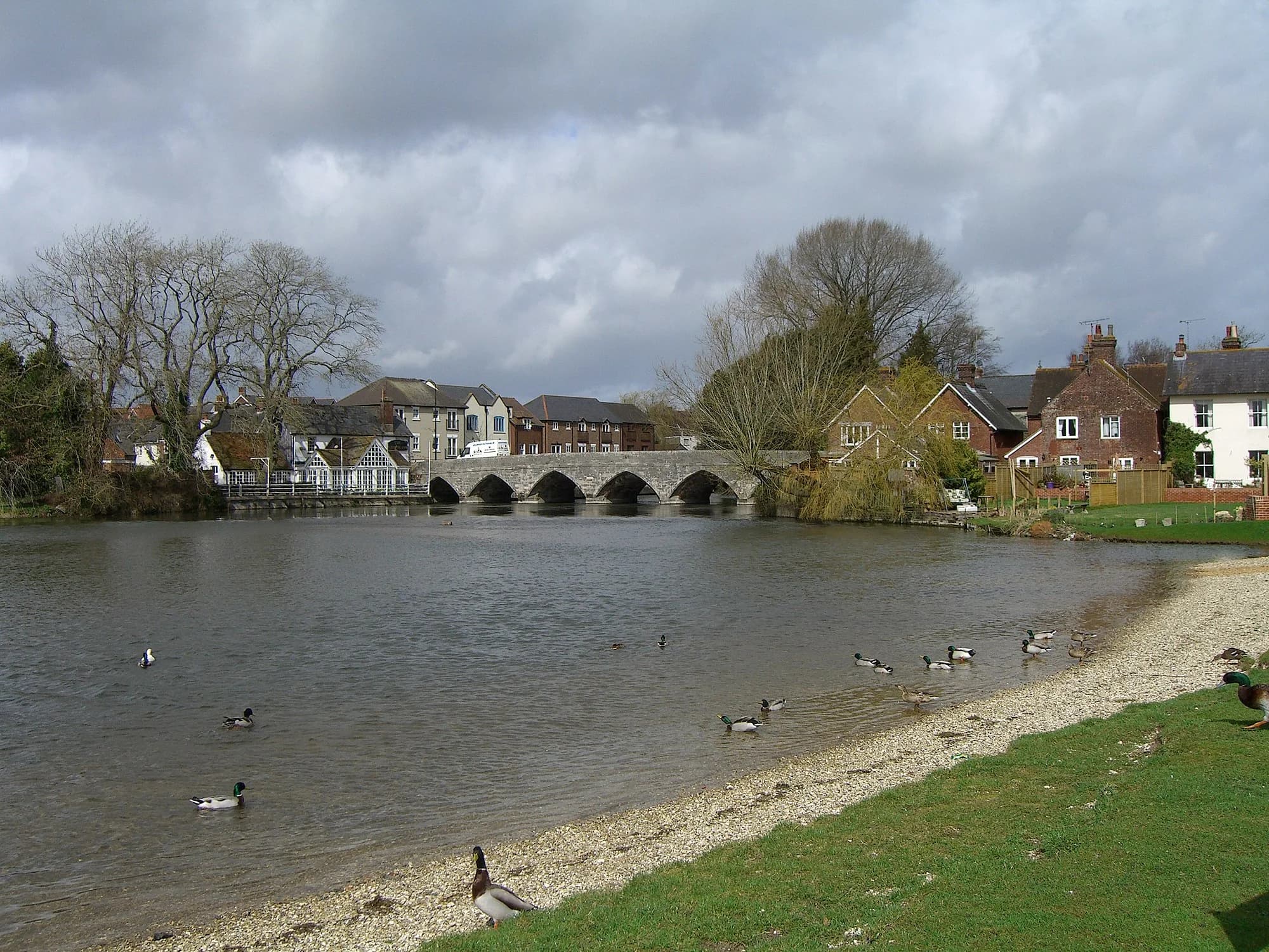 Vets in Fordingbridge