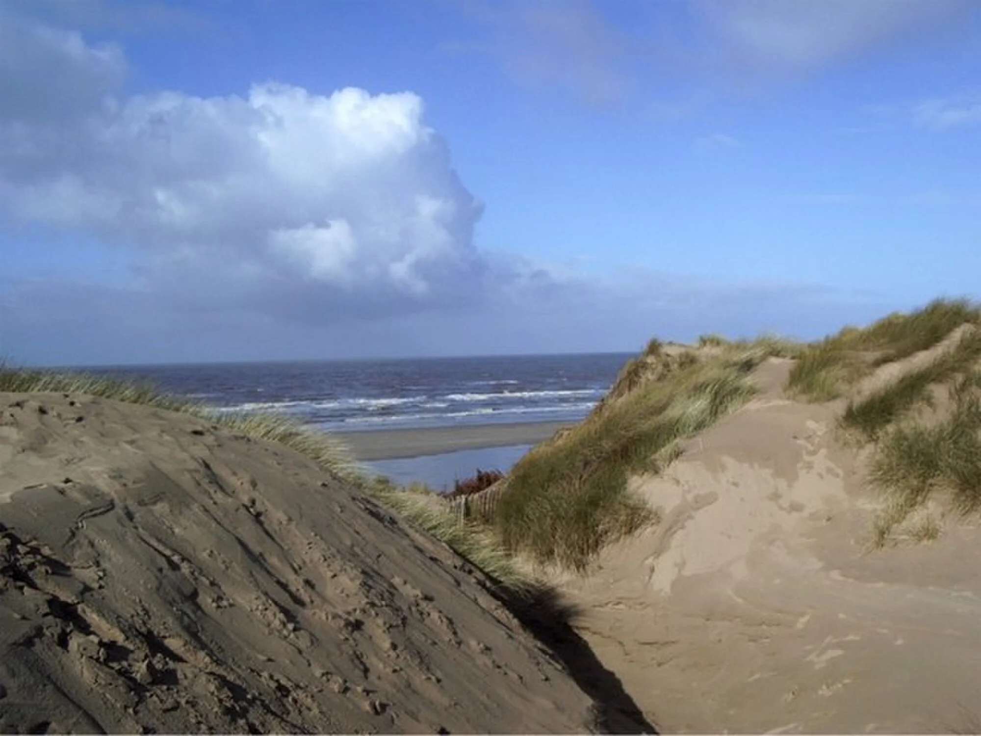 Vets in Formby