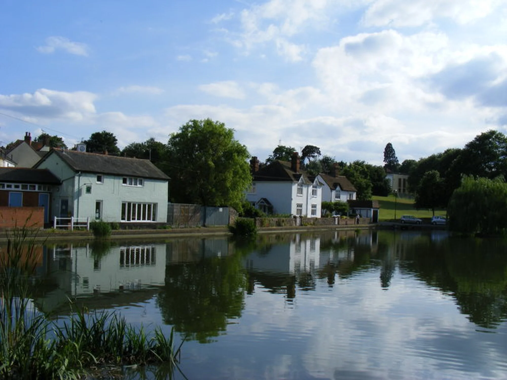 Vets in Great Dunmow