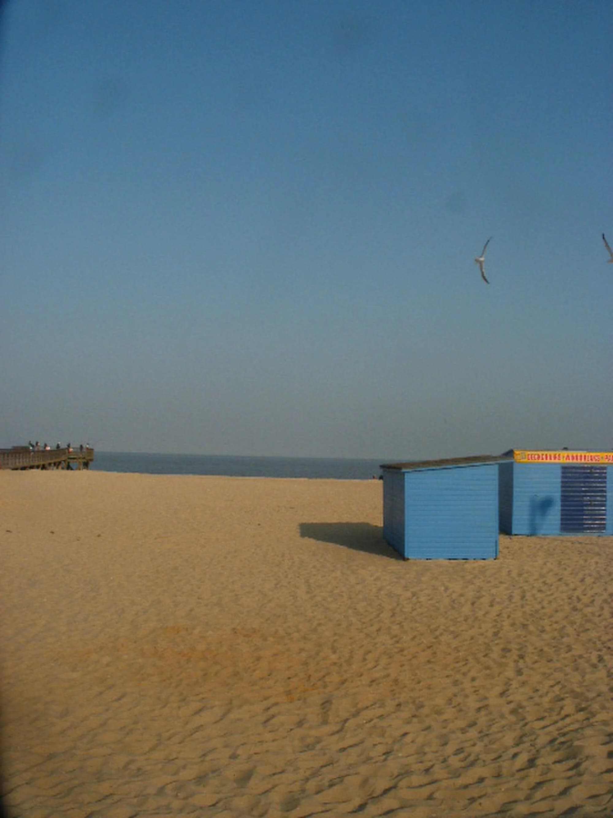 Vets in Great Yarmouth