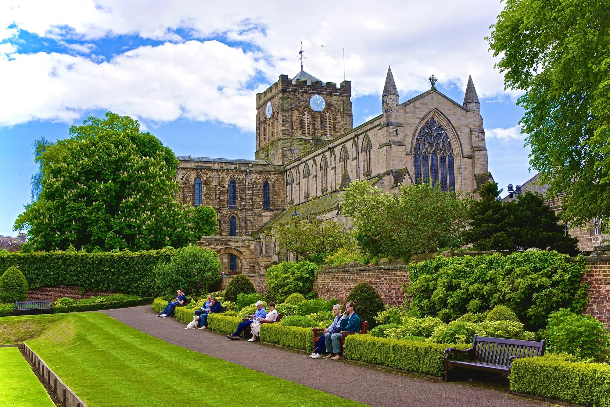 Vets in Hexham