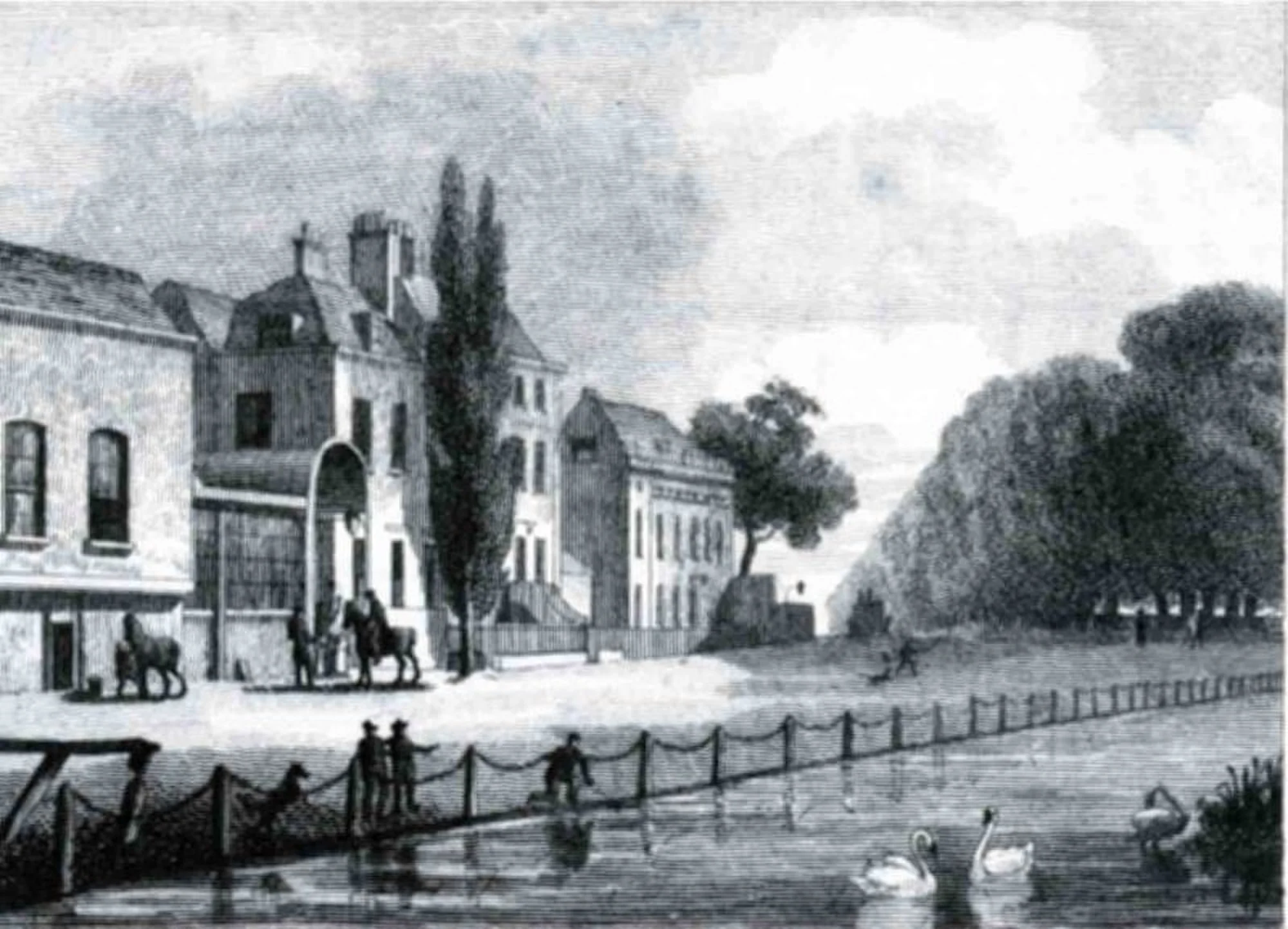 Vets in Highbury