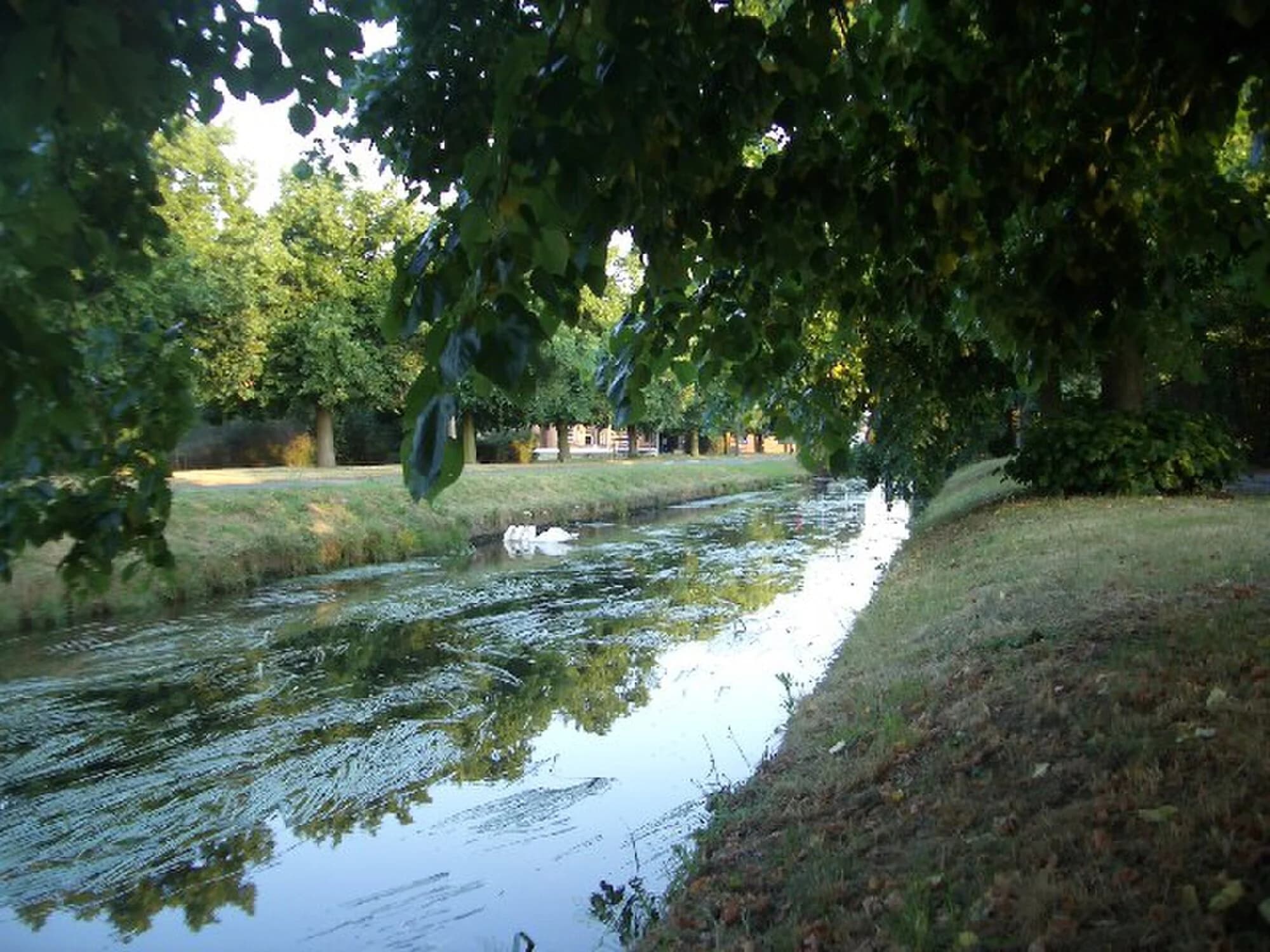 Vets in Isleworth
