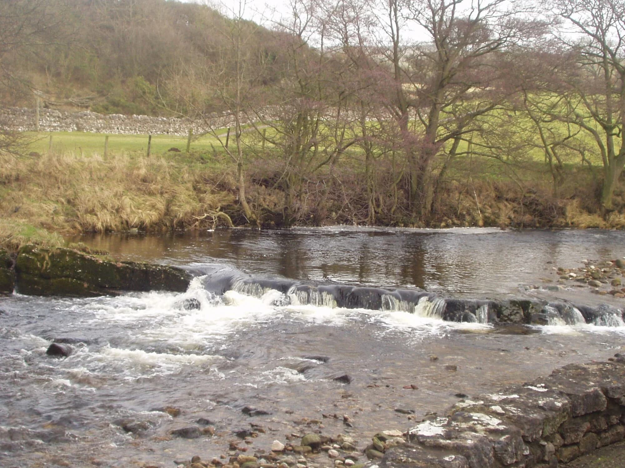 Vets in Kirkby Stephen