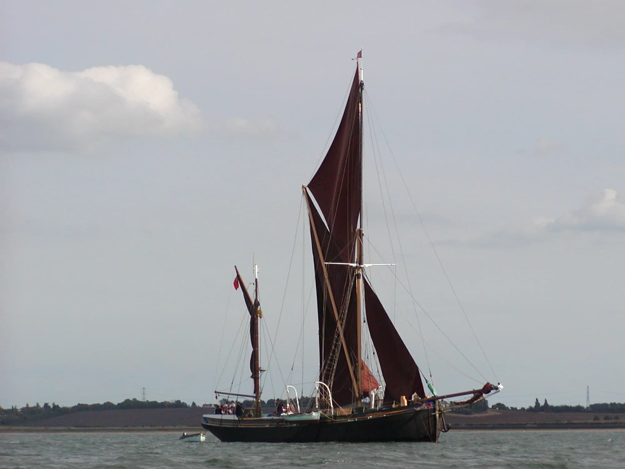 Vets in Maldon
