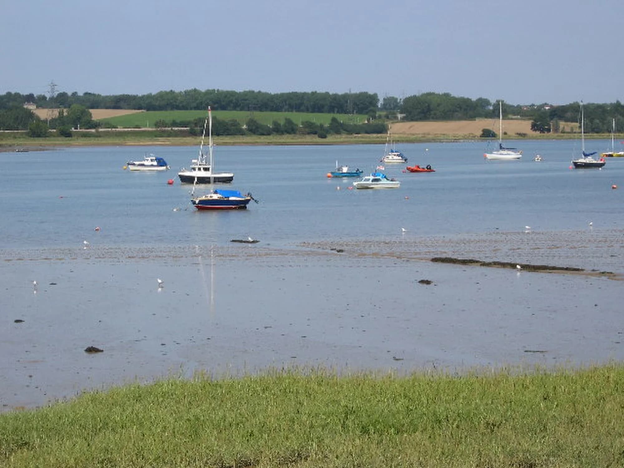 Vets in Manningtree