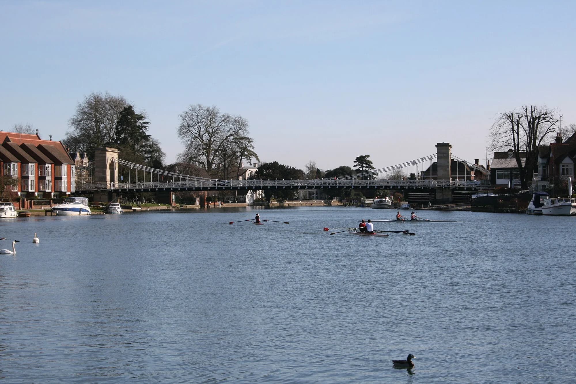 Vets in Marlow