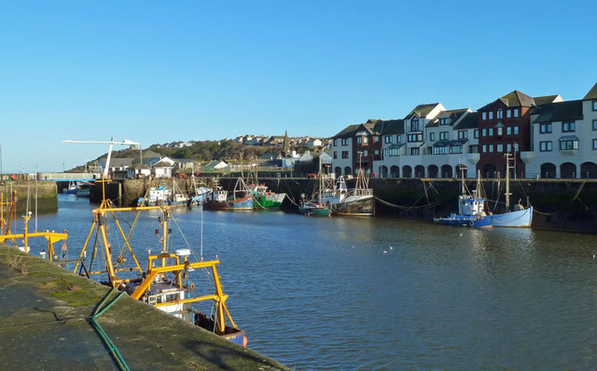 Vets in Maryport