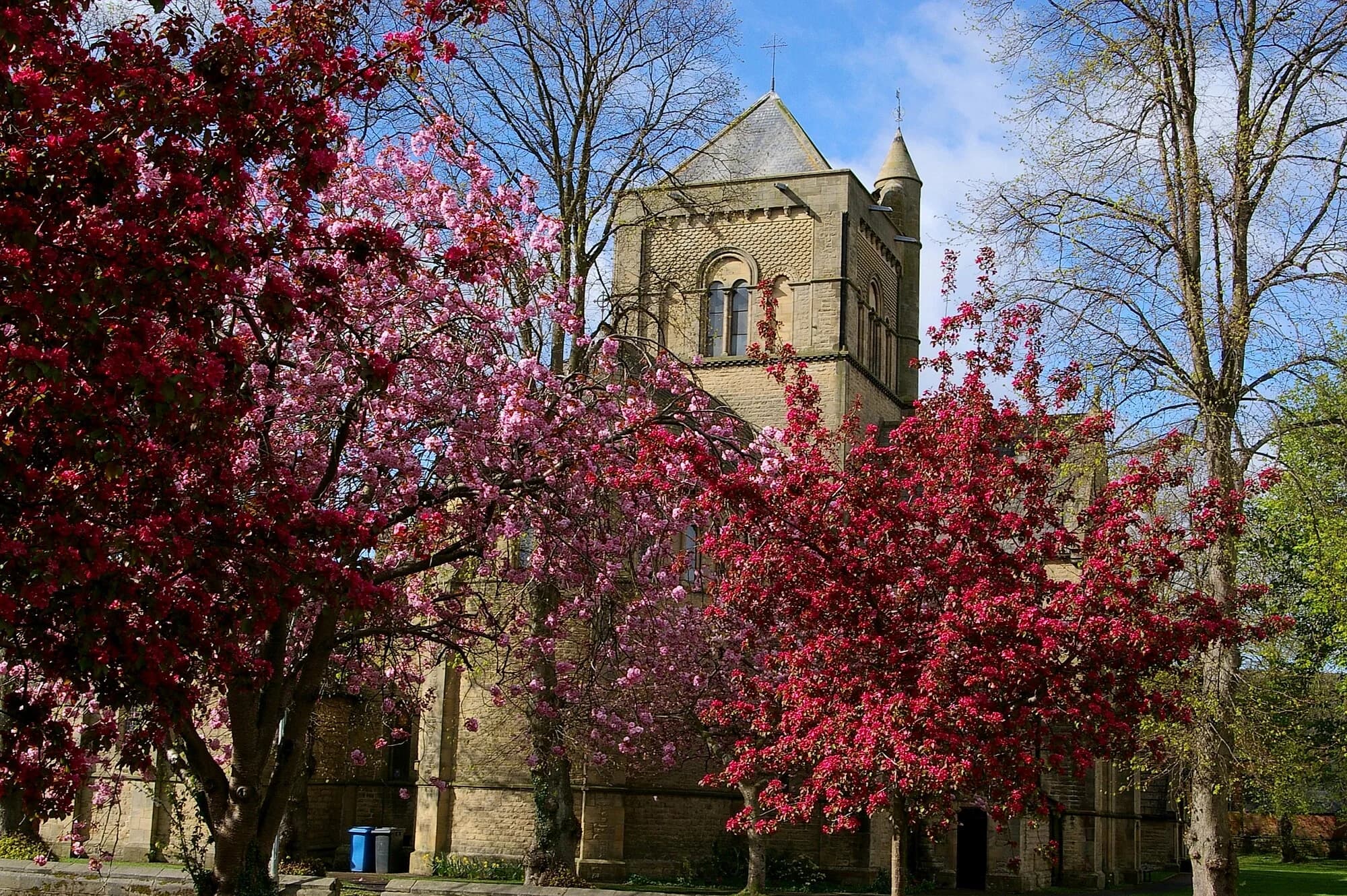 Vets in Morpeth