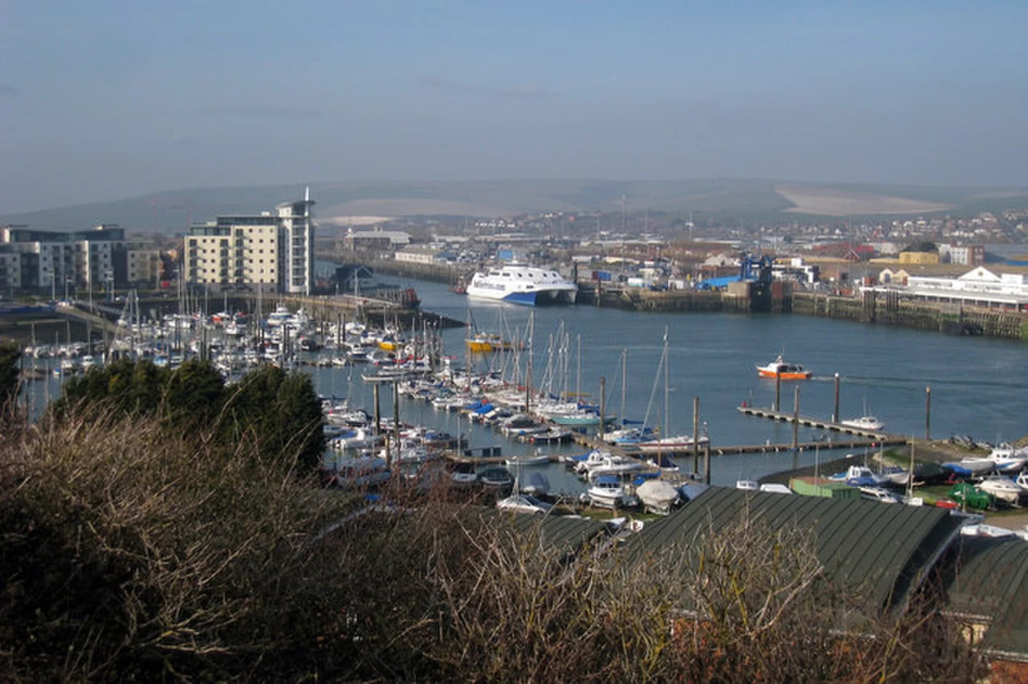 Vets in Newhaven