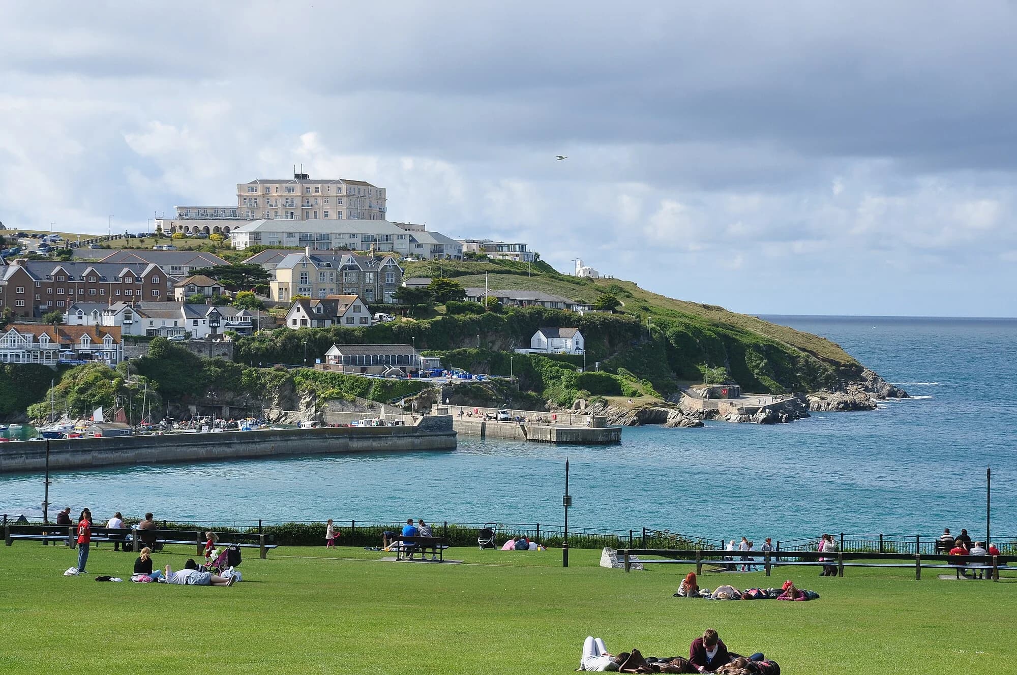 Vets in Newquay