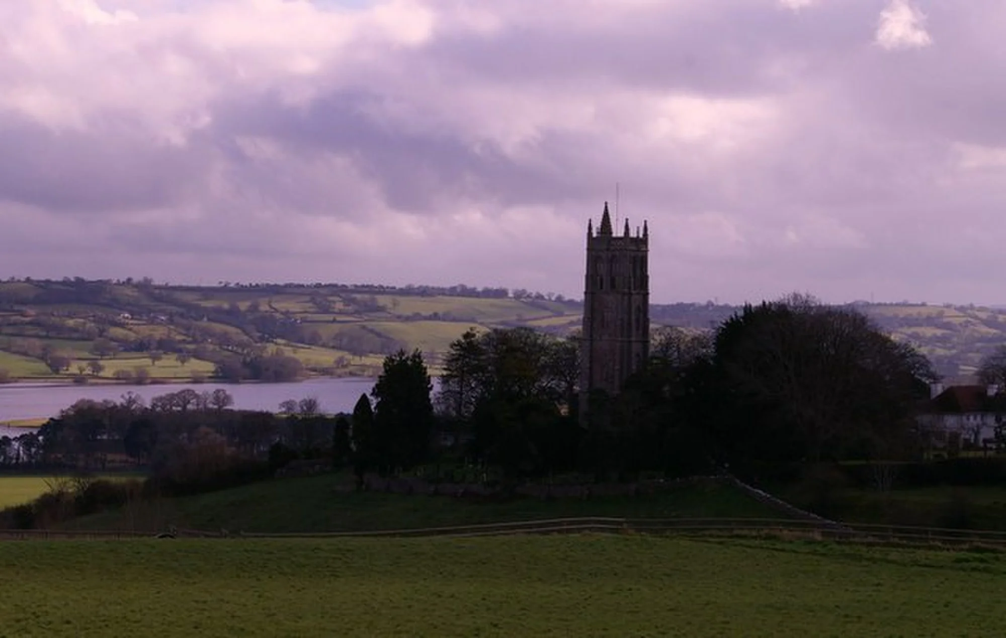 Vets in North Somerset