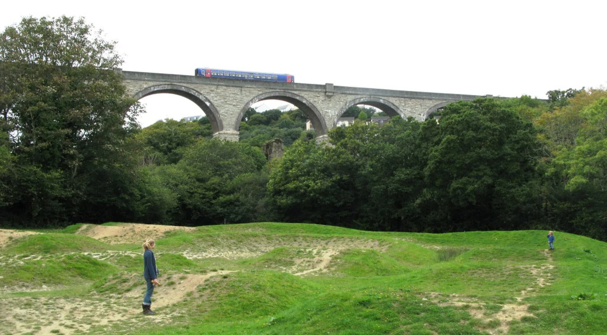Vets in Penryn