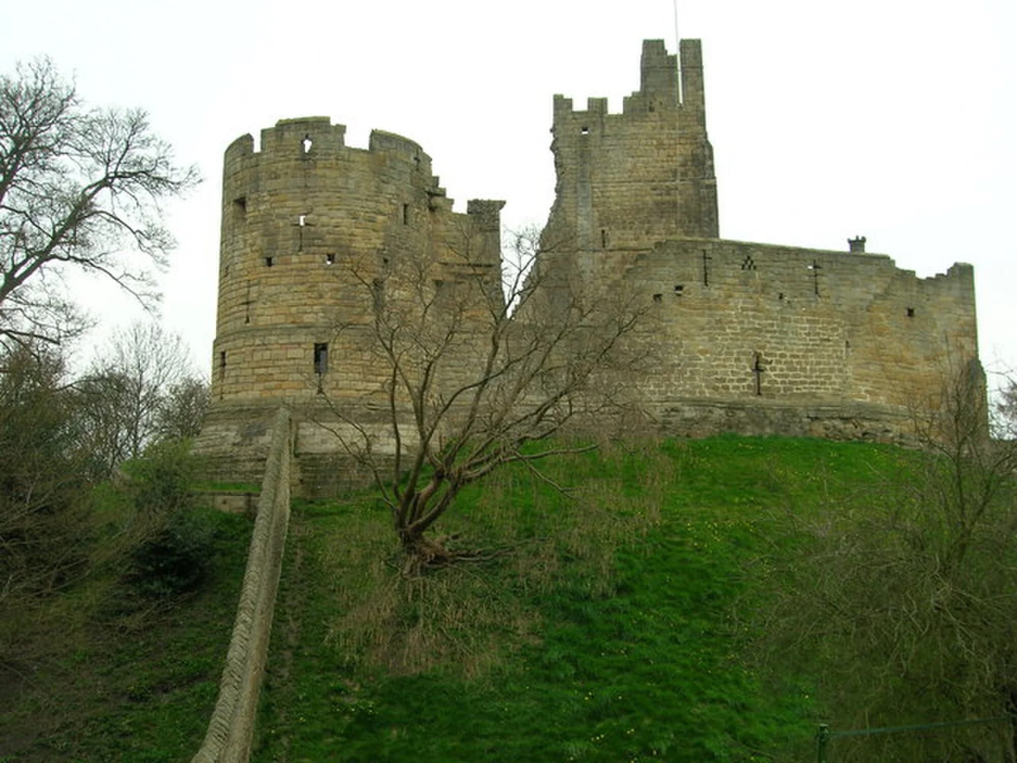 Vets in Prudhoe