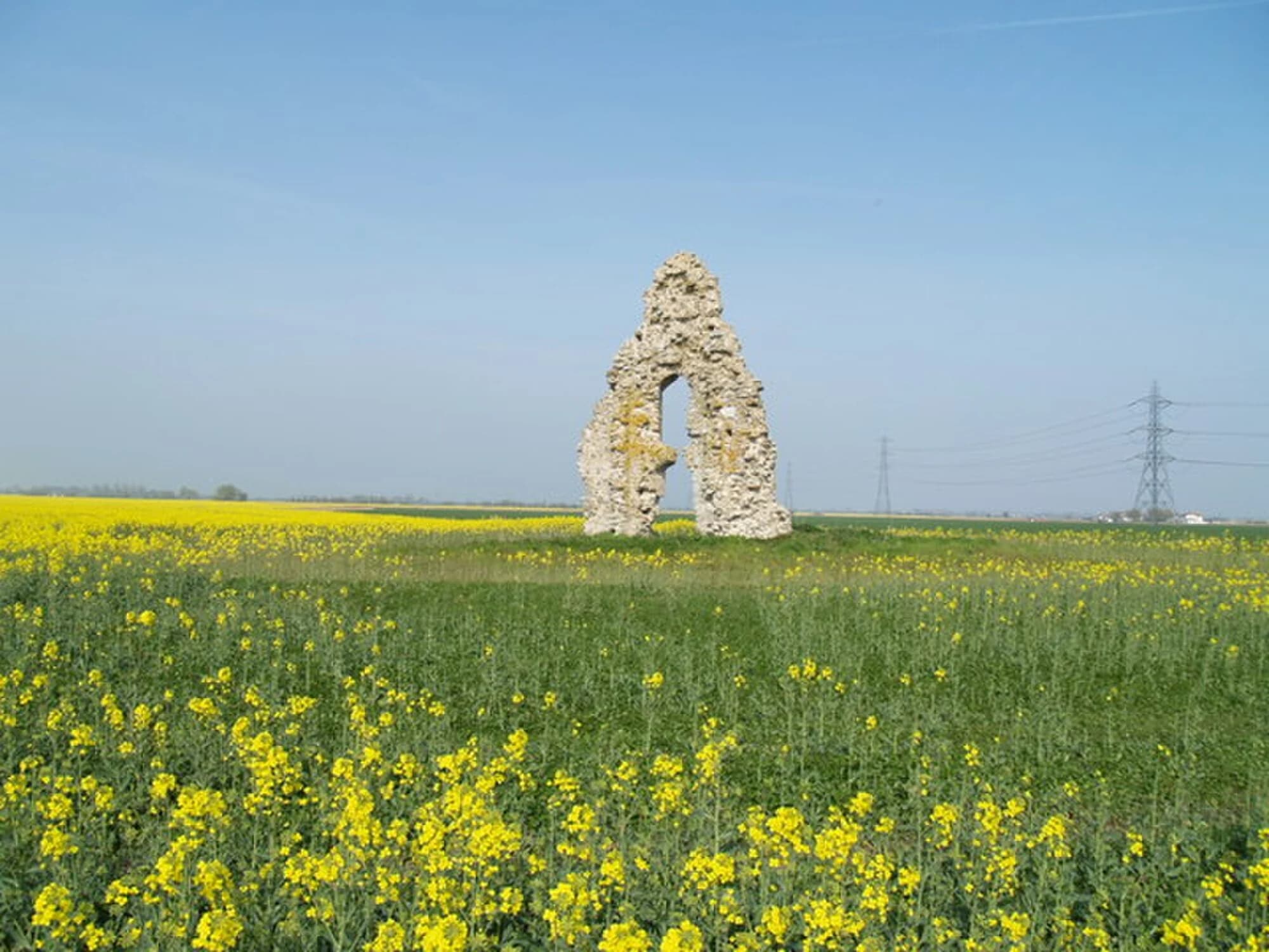 Vets in Romney Marsh