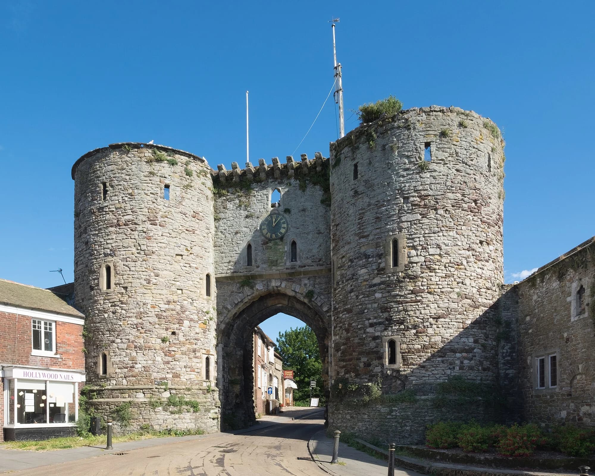 Vets in Rye