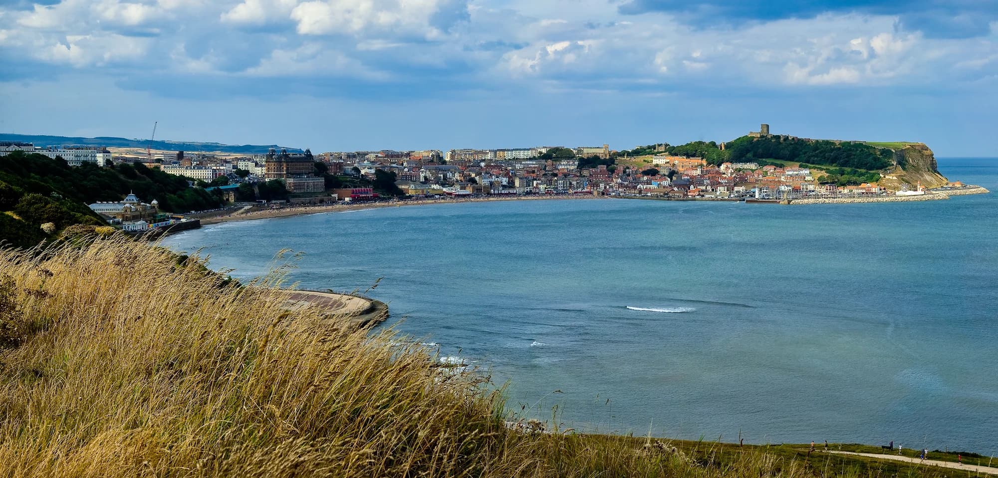 Vets in Scarborough