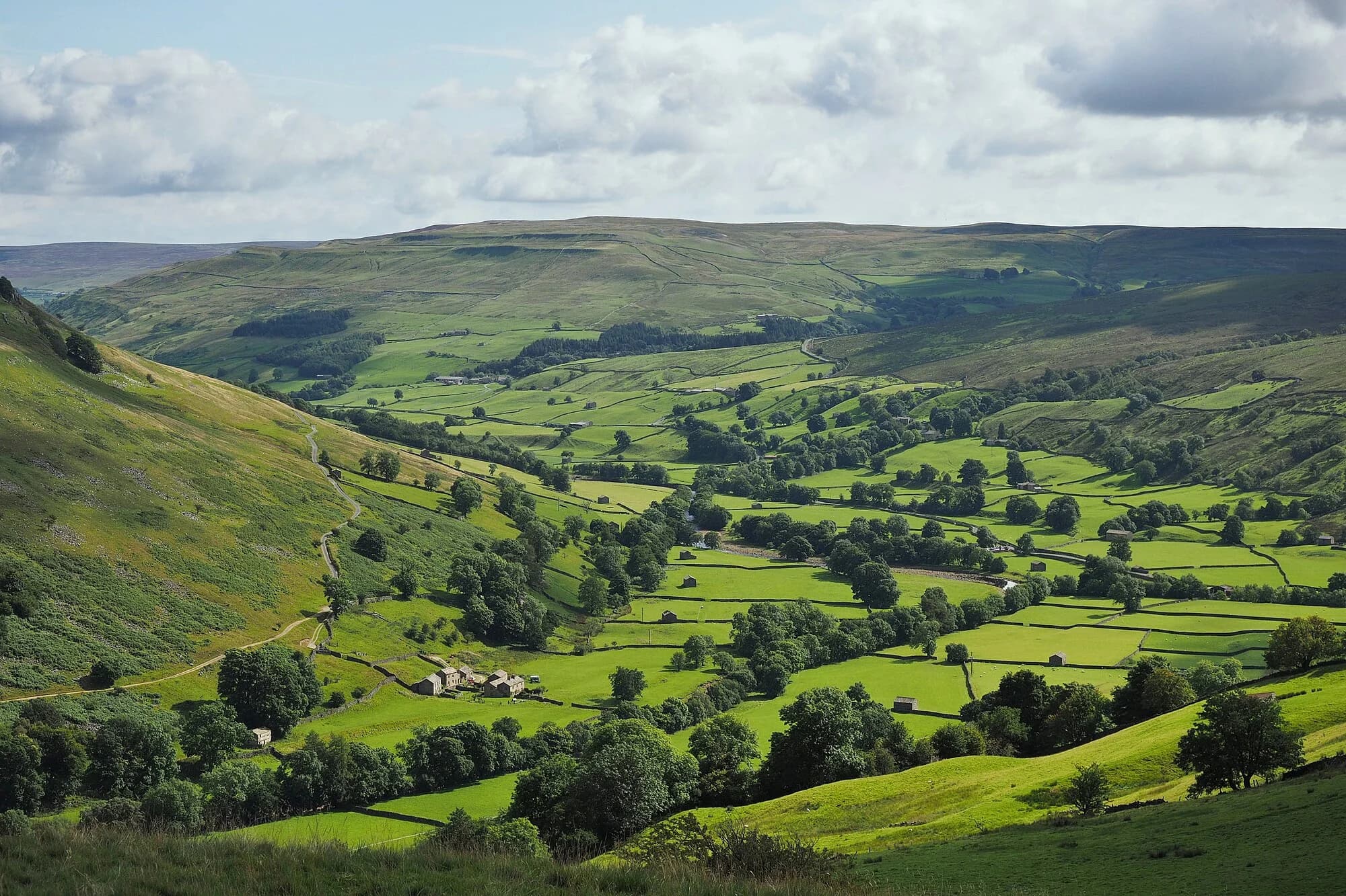 Vets in Sedbergh