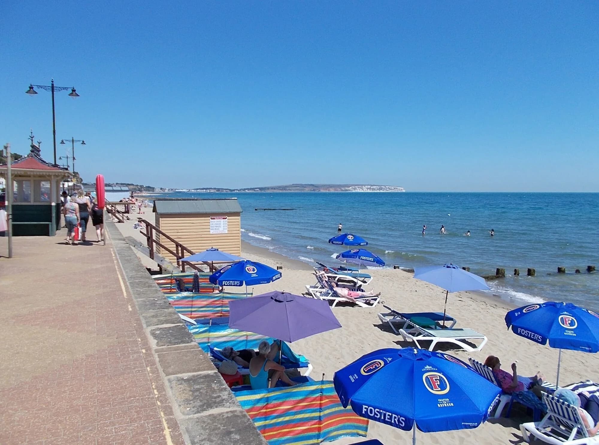 Vets in Shanklin