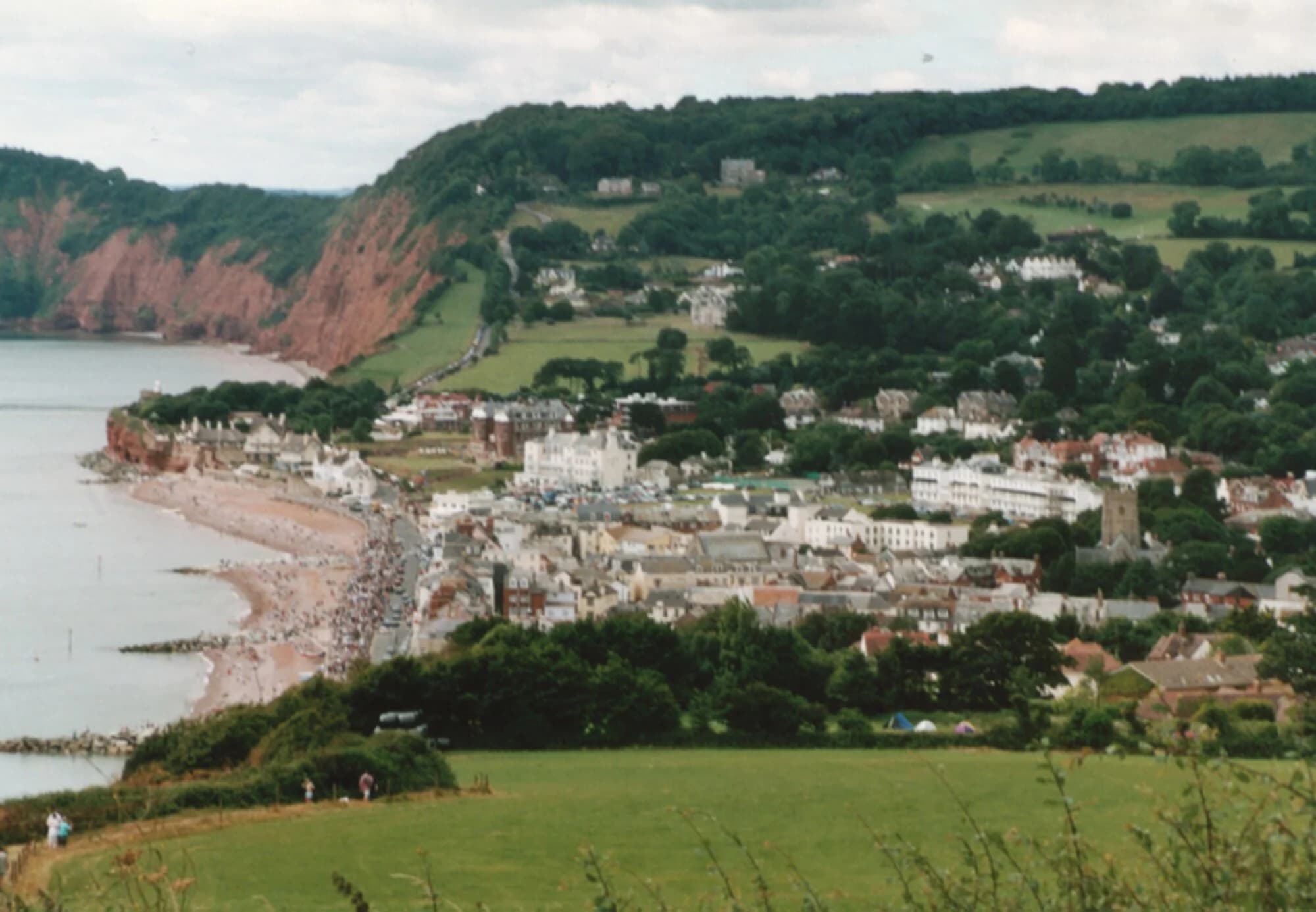 Vets in Sidmouth