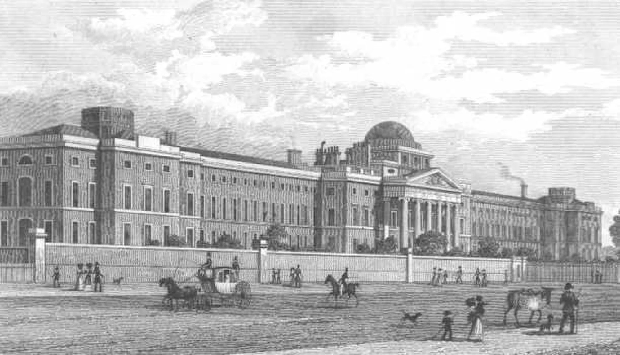Vets in St George's Fields