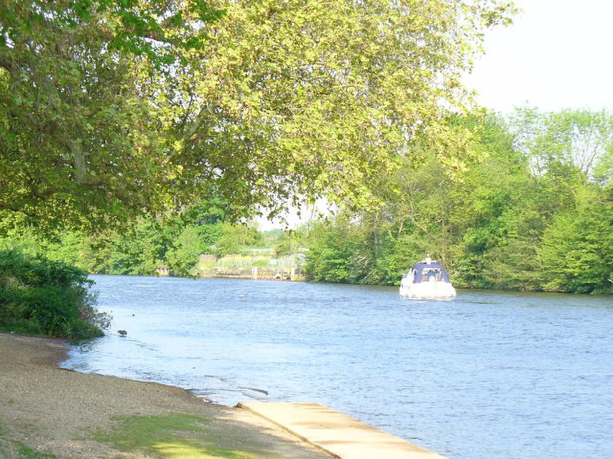 Vets in Sunbury On Thames