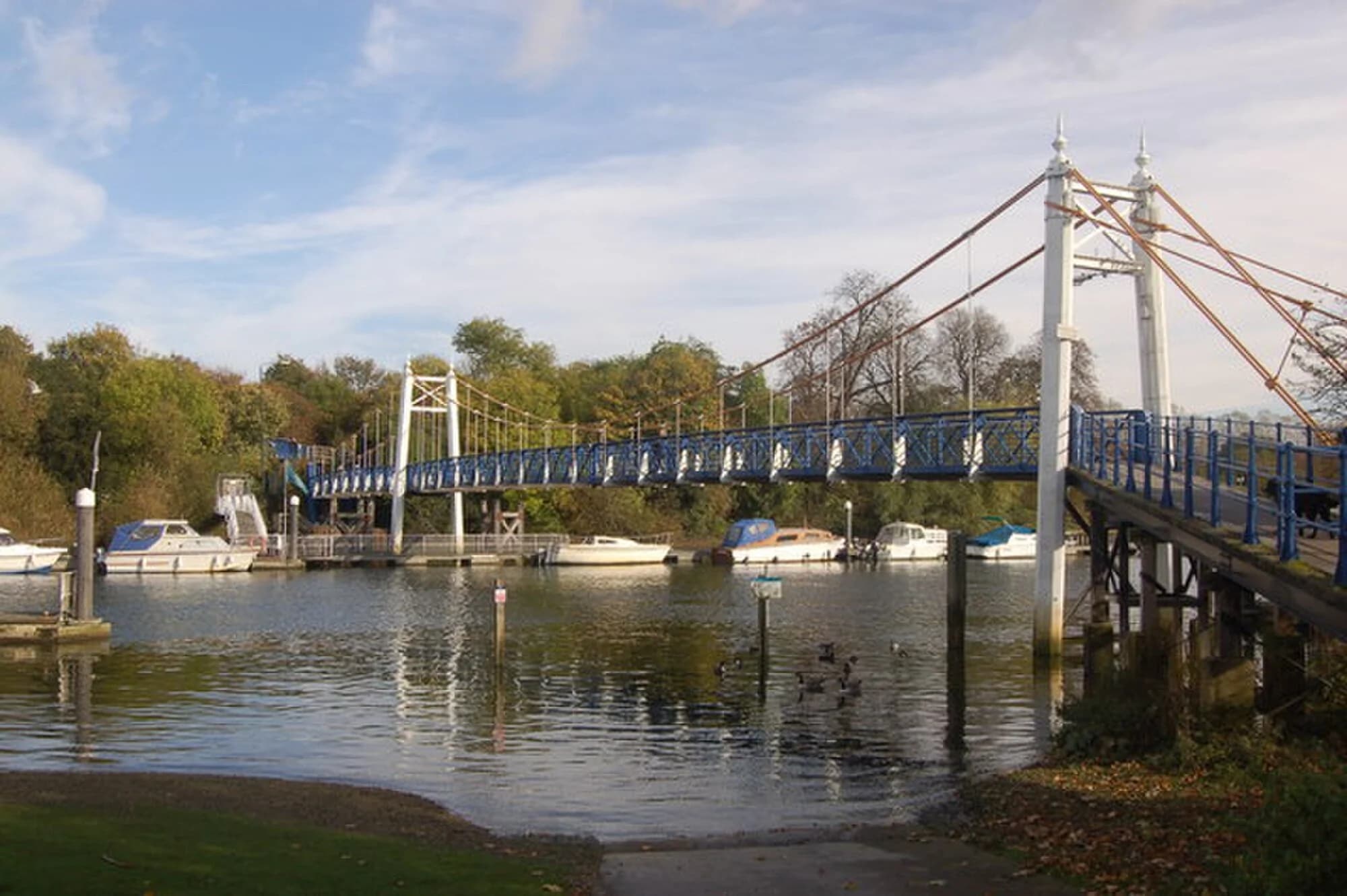 Vets in Teddington