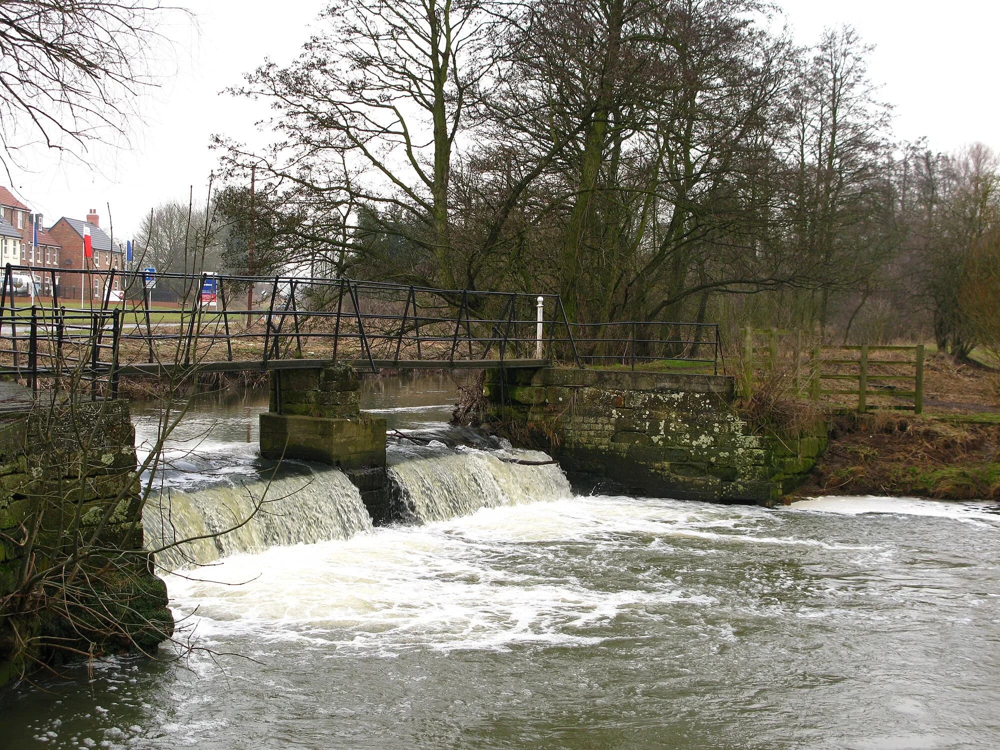 Vets in Thirsk