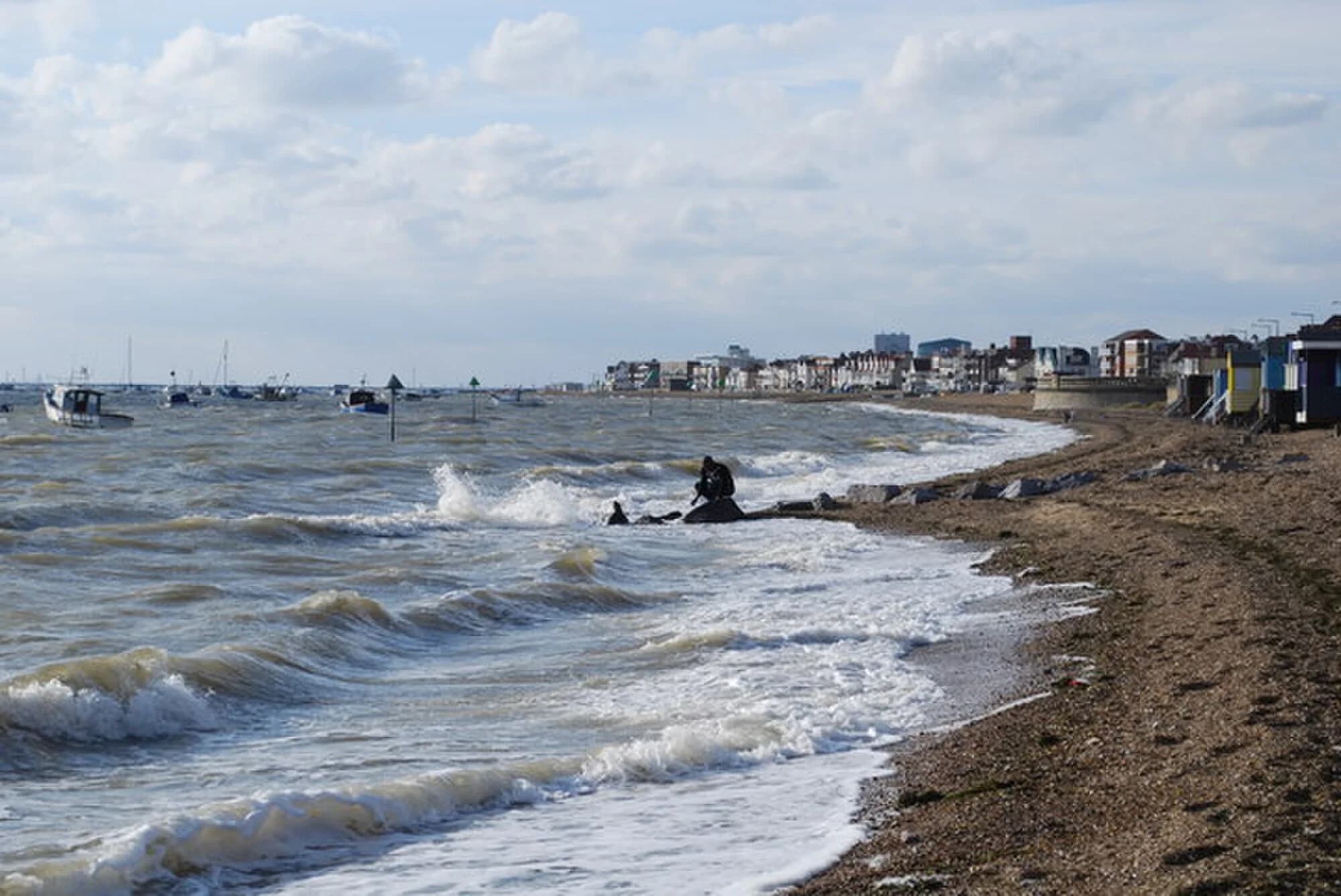 Vets in Thorpe Bay