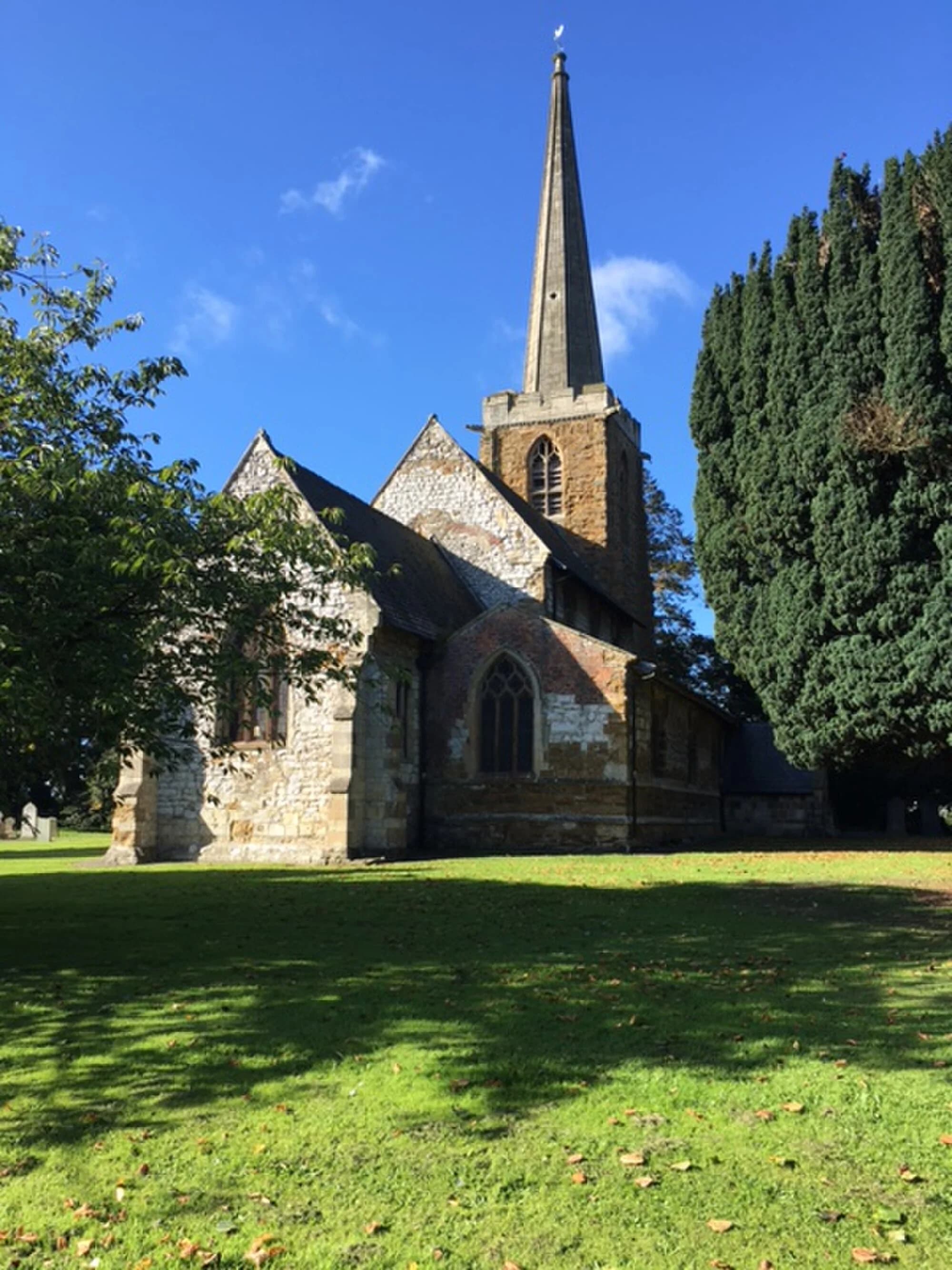 Vets in Ulceby