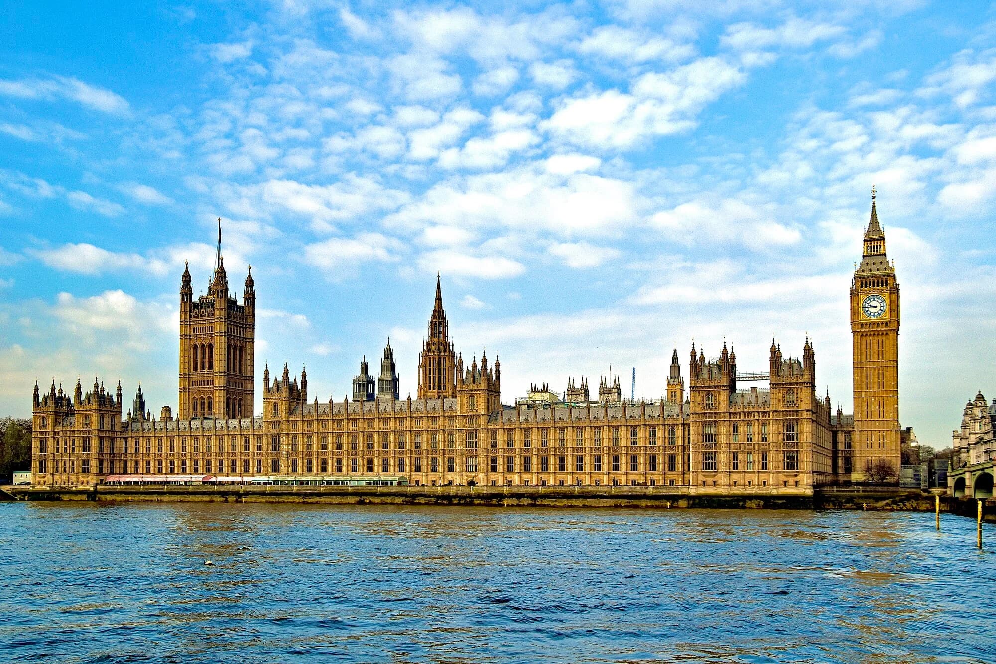 Vets in Westminster
