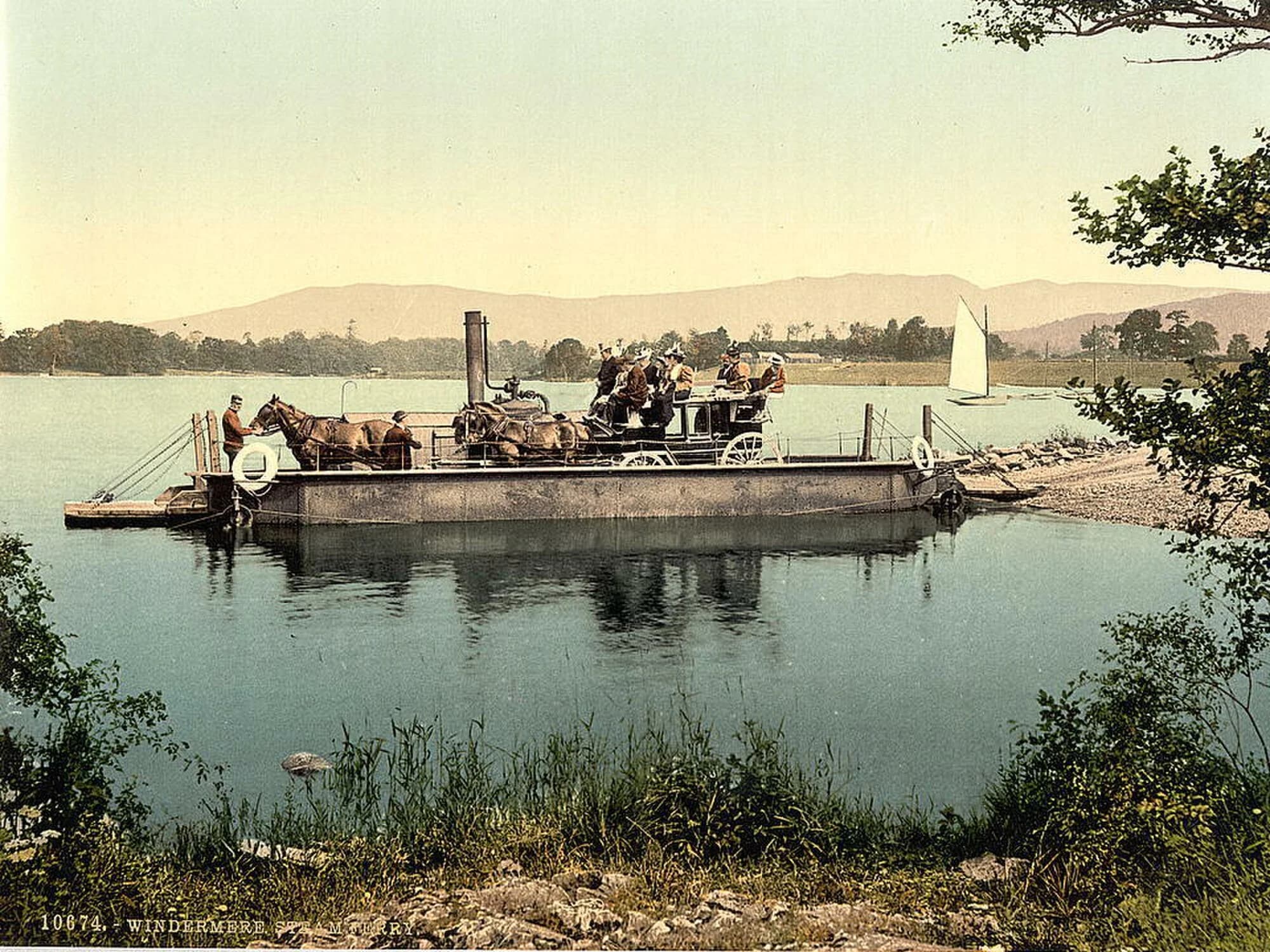 Vets in Windermere