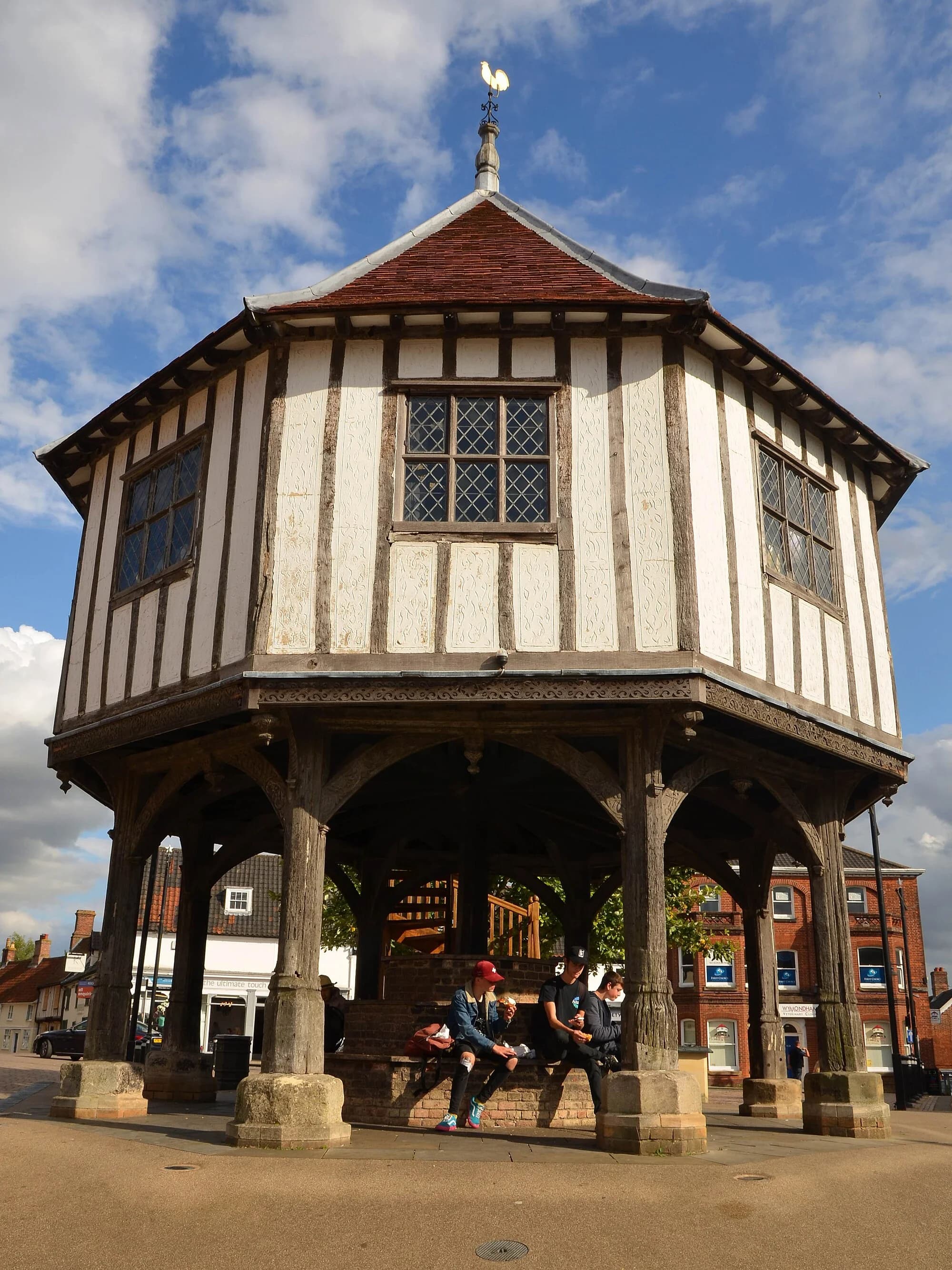 Vets in Wymondham